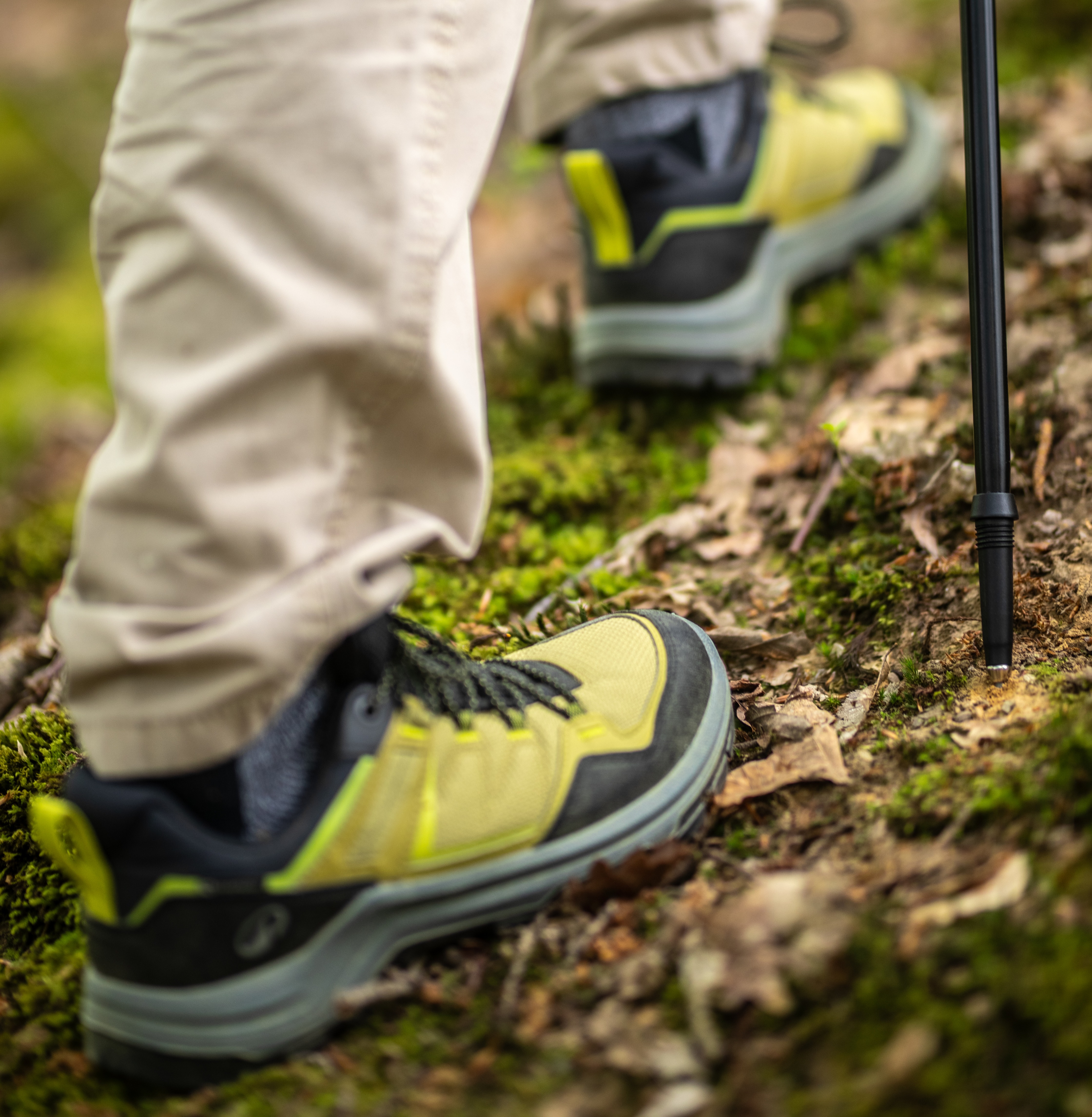 Bâton de marche pliable Walker Wild Summit Z1 posé sur un tronc en pleine nature