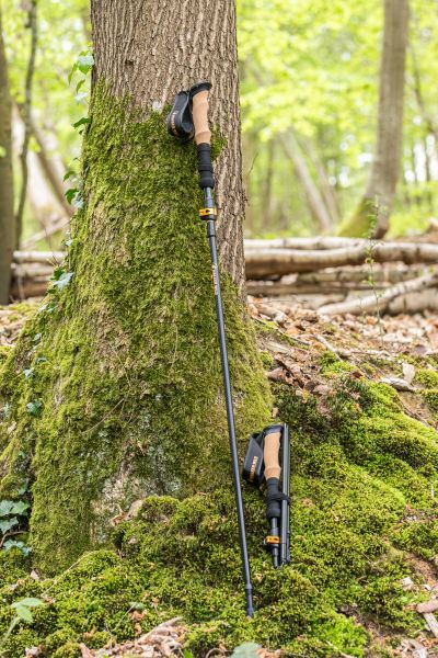 Bâton de marche pliable Walker Wild Summit Z1 posé sur un tronc en pleine nature