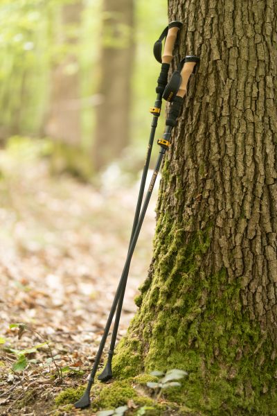 Bâton de marche pliable Walker Wild Summit Z1 posé sur un tronc en pleine nature