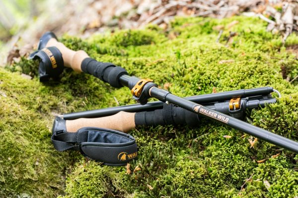 Bâton de marche pliable Walker Wild Summit Z1 posé sur un tronc en pleine nature